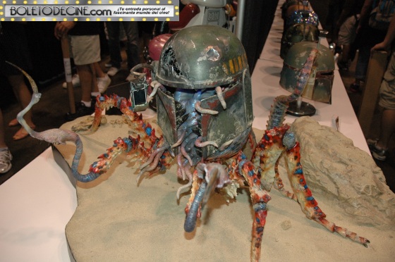 celebration VI pic 13